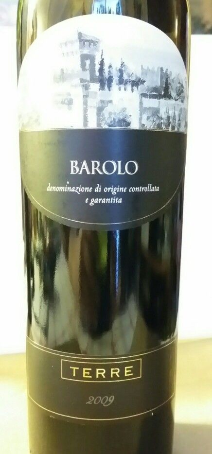 Terre 2009 Barolo Italy